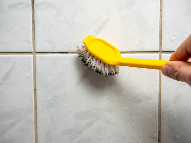 Best Toxic Mold Removal  in West Blocton, AL