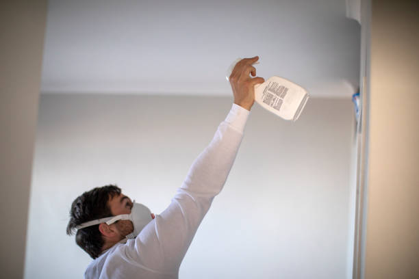 Best Residential Mold Removal  in West Blocton, AL