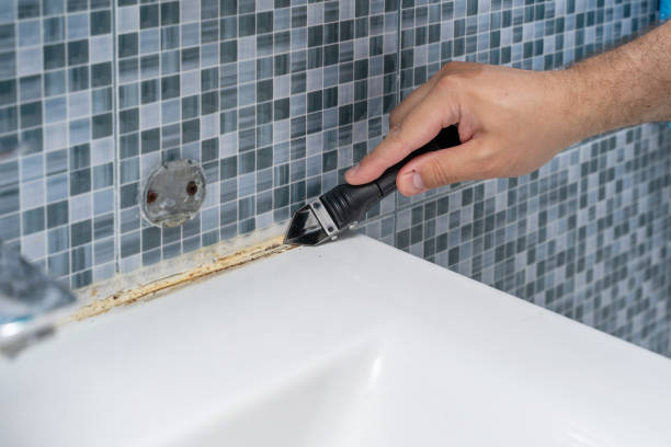 Best Mold Remediation  in West Blocton, AL